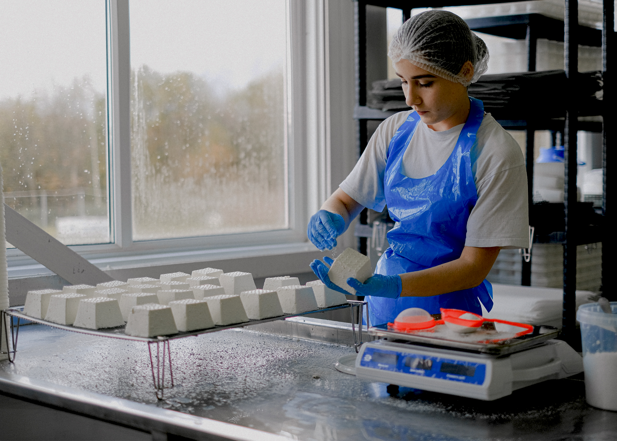 Food Safety & Sanitation
